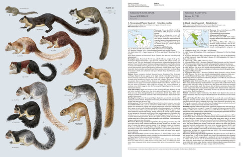 Handbook of the Mammals of the World no 6 -Lagomorphs and Rodents -  Lynx 2016